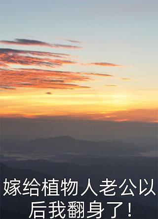 他生永不落红尘后续