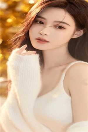 明月也曾向我来小说江心月季博屿