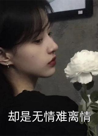 这场爱再无归期小说全文免费阅读