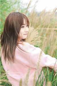 不做乖乖女叶淮生淮生小说