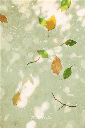 老婆装穷，我卖心脏帮她还债苏映雪许明轩 全集