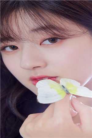来如风雨去似尘前文+后续
