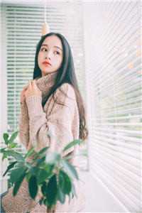 陆景琛宋佳音写的小说落青梅，佛前几度相思泪全文阅读