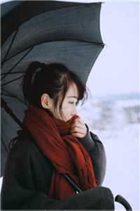 一世笑凰途娇娇顾泽无删减+无广告