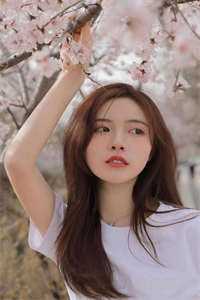 我爱你，永不再见夏洛儿李之云结局+番外小说