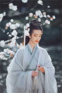 雪落昭昭意已绝后续