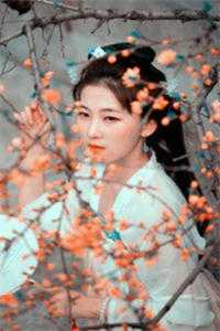 滞销的土豆春花婶春花无删减+无广告