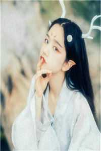 土匪扫荡时，丈夫在城里看耍猴儿全局