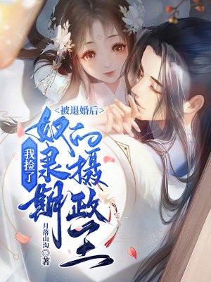 芳华满地碾作尘贝贝程安后续+完结